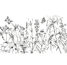 Illustratie van wilde bloemen en vlinders