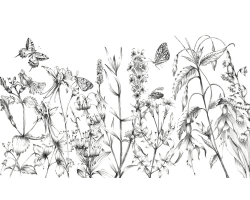KOMAR Fotobehang vlies X8-1085 Colours Imagine Edition 5 Butterfly field 400x250 cm KOMAR Fotobehang vlies X8-1085 Colours Imagine Edition 5 Butterfly field 400x250 cm