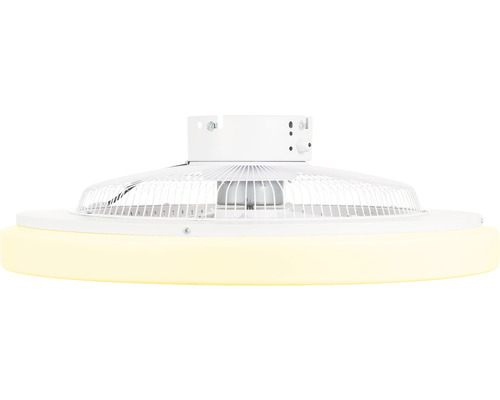 Plafondventilator met verlichting en beschermrooster