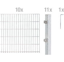 ALBERTS Dubbelstaafmat set 6/5/6 2000 x 100 cm thermisch verzinkt