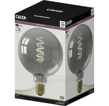 CALEX LED filament lamp spiraal E27/4W G125 warmwit titanium