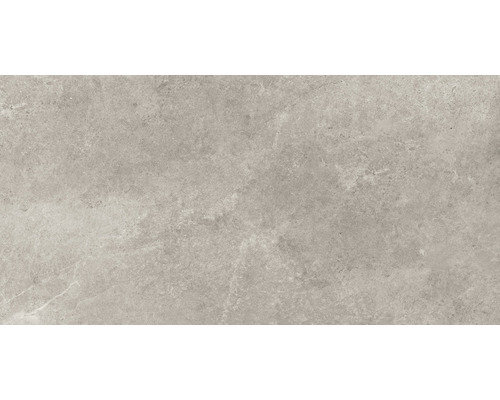 Wand- en vloertegel Montreal zilver 59,7x119,7 cm gerectificeerd