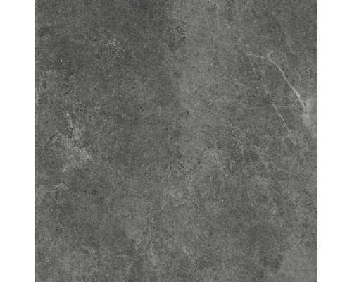 Wand- en vloertegel Montreal antraciet 59,7x59,7 cm gerectificeerd Wand- en vloertegel Montreal antraciet 59,7x59,7 cm gerectificeerd