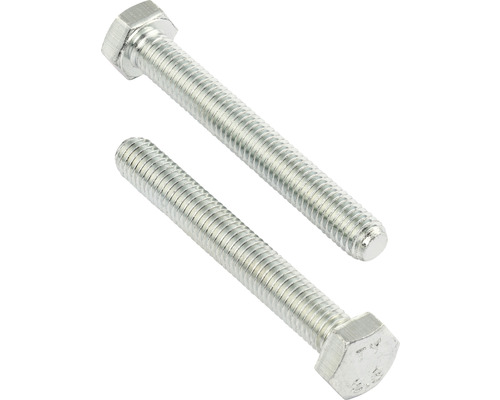 REYHER Tapbout zeskant 8x30 mm DIN 933 RVS A2, 25 stuks Twee zeskantschroeven met schroefdraad