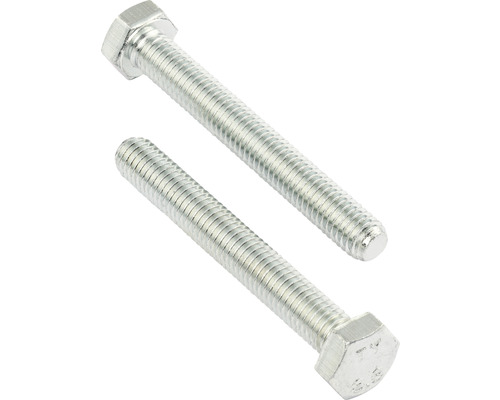 REYHER Tapbout zeskant 10x40 mm DIN 933 RVS A2, 25 stuks Twee zeskantbouten