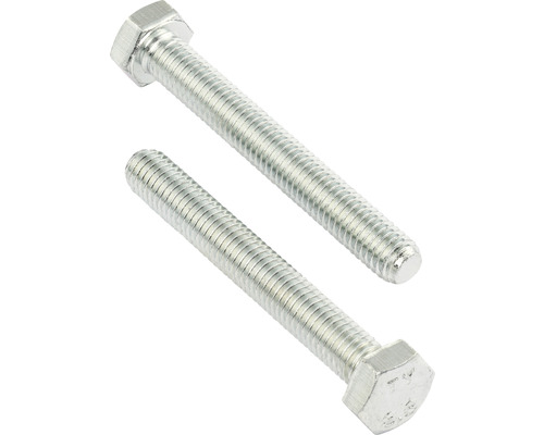 REYHER Tapbout zeskant 10x120 mm DIN 933 RVS A2, 25 stuks Twee metalen zeskantbouten