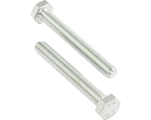 REYHER Tapbout zeskant 12x100 mm DIN 933 RVS A2, 25 stuks Twee metalen zeskantsbouten