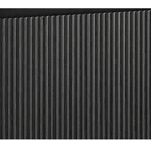 SANOX Hoge kast Frozen 3D 170x35 cm zwart mat-thumb-3