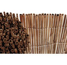 Detailopname bamboe privacyscherm