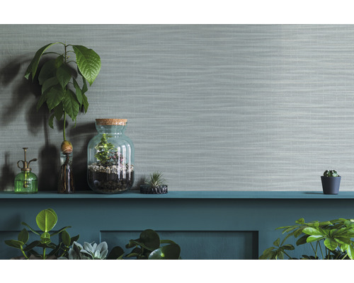 Decoratieve kamerplanten in glazen en potten op een plank voor een gestructureerde muur.