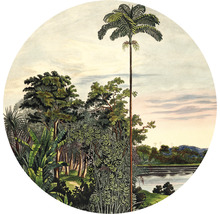 Illustratie van een landschap met bomen en water