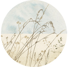 Illustratie van grassen en wilde bloemen