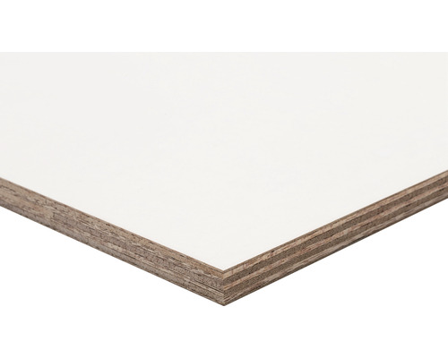 PAINTPLEX multiplex 2440 x 1220 x 12 mm Houten plaat met coating
