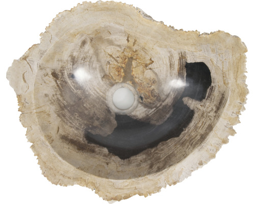 Wastafel van versteend hout