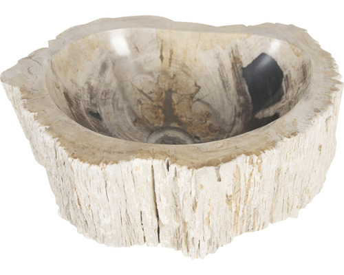 Wastafel van versteend hout