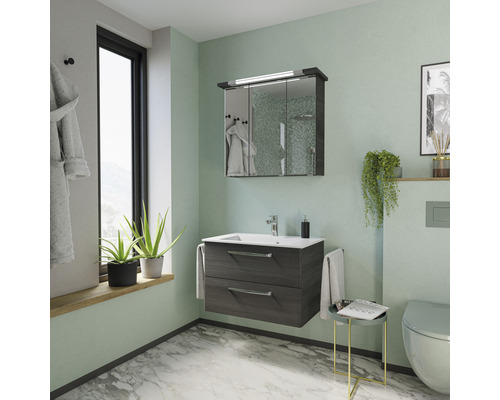 Badkamer met wastafelonderkast, spiegelkast en toilet