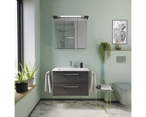 Badkamer met wastafelonderkast, spiegelkast, toilet en decoratie