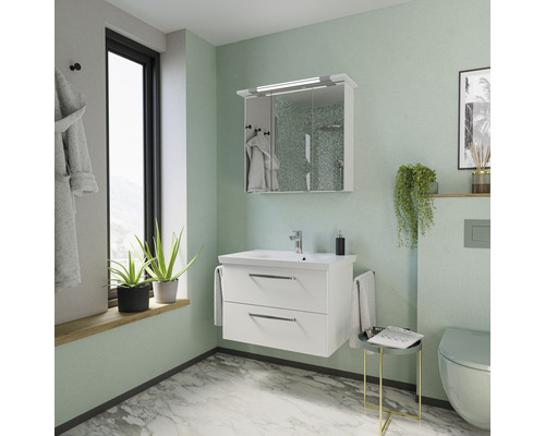 Lichte badkamer met wastafelonderkast, spiegelkast en bijpassend toilet.