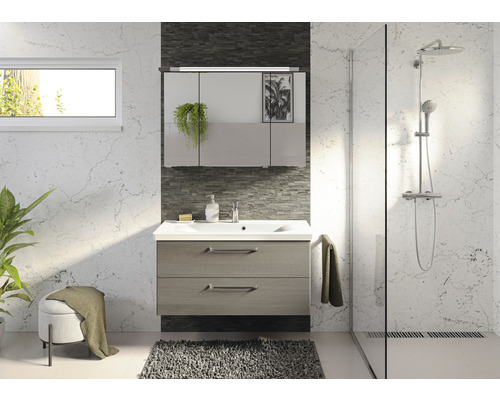 Lichte badkamer met wastafelonderkast, spiegelkast, douche en decoraties voor een moderne inrichting.