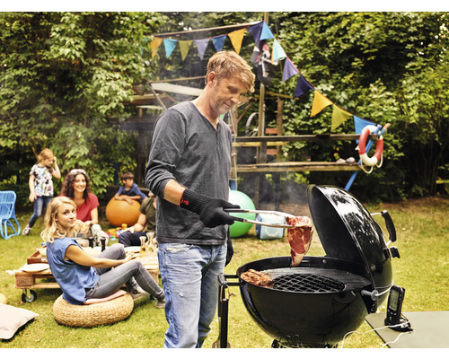 Weber master touch on sale 5750