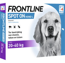 Frontline Spot on, hond, large 20-40kg 4 pip-thumb-1