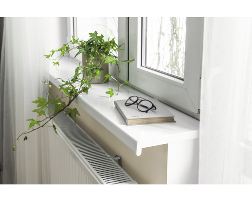 Vensterbank met potplant, boek en bril