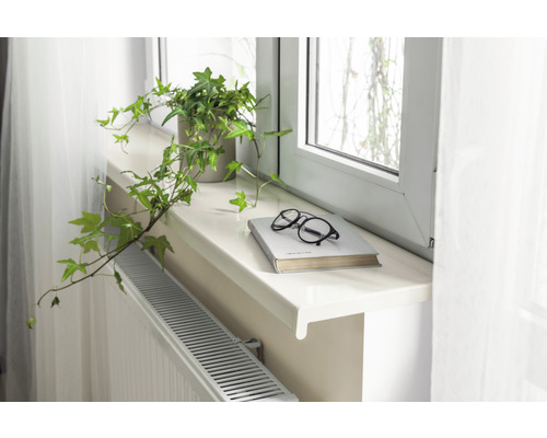 Vensterbank met plant, boek en bril