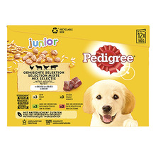 Pedigree Junior Gemengde Selectie in gelei 12 maal 100 gram