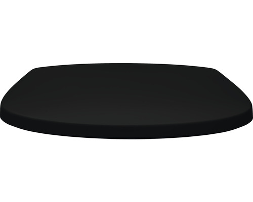 Toiletdeksel van keramiek