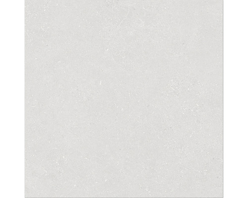 Wand- en vloertegel Alpen wit mat 60x60 cm gerectificeerd