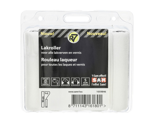 Verfrollerset voor lakken en vernissen, 5 stuks