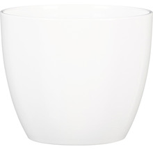 Witte keramische plantenpot