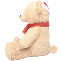 Teddybeer met kerstmuts en sjaal
