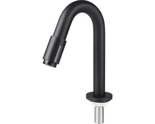 Zwarte keukenkraan met draaibare uitloop