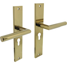 INTERSTEEL Deurkruk paar Bastian op schild met profielcilindergat PC55 messing titaan PVD