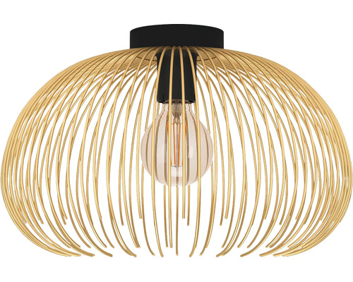 Plafondlamp met draadkap en lichtbron