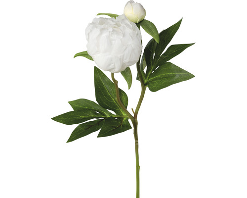 Kunstplant Pioenroos wit H 46 cm
