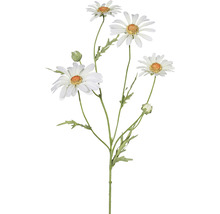Decoratieve madeliefjesbloemen voor binnen