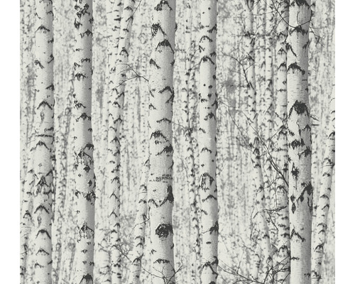 A.S. CRÉATION Vliesbehang 38719-1 Pint Walls natuur bos zwart grijs Behang met berkenbosmotief