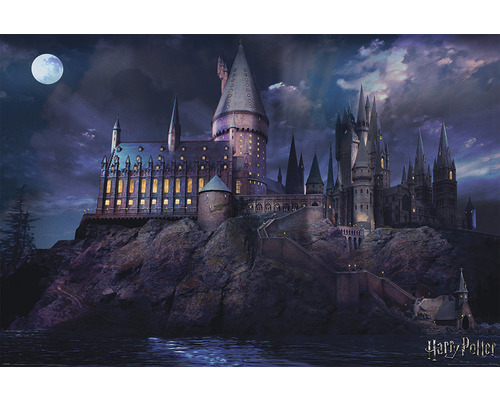 REINDERS Poster Harry Potter Hogwarts 61x91,5 cm