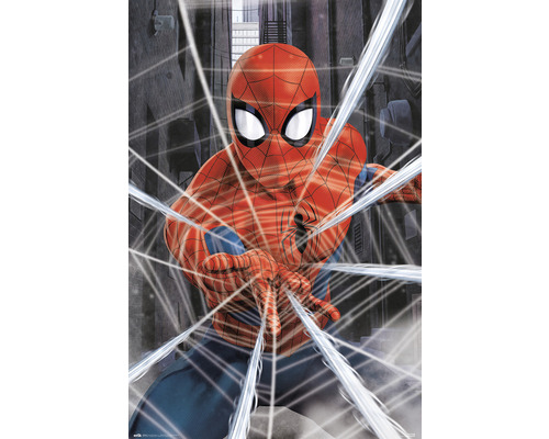 REINDERS Poster Spiderman 61x91,5 cm