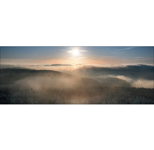 Landschap met bos, mist en zonsopgang