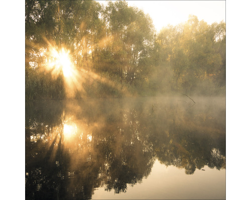 PURE LIVING Schilderij glas Sun At The Pond 30x30 cm