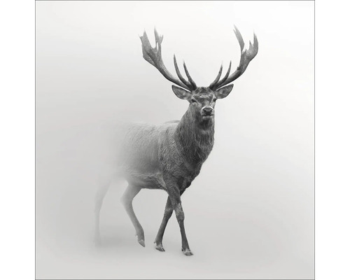 PURE LIVING Schilderij glas Grey Deer V 20x20 cm