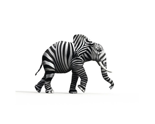 PURE LIVING Schilderij glas Striped Elefant 30x30 cm