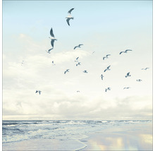 Foto van meeuwen op het strand