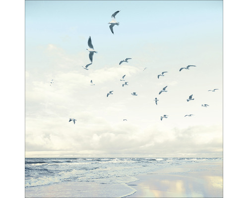 PURE LIVING Schilderij glas Seagulls On The Beach 50x50 cm