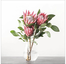 Protea bloemen in een glazen vaas