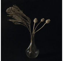 Decoratieve gedroogde bloemen en maanzaadbollen in een glazen vaas
