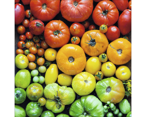 PURE LIVING Schilderij glas Colorful Tomatoes 20x20 cm